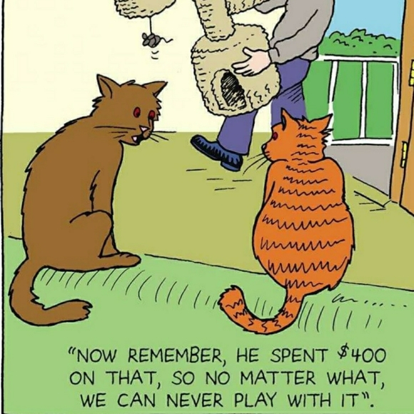 Just for laughs and giggles - Picture 14 of 15